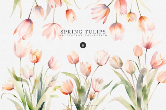 Watercolor Tulip Clipart - Spring Flower